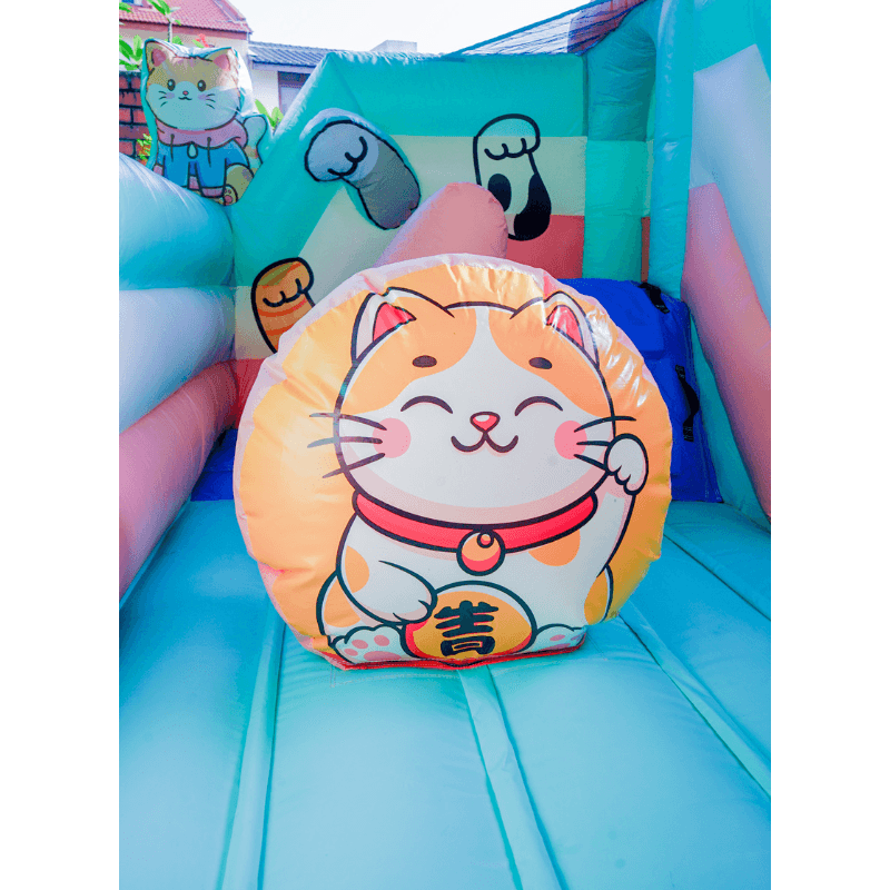 https://file.penguinpartypeople.com/uploads/Cats bouncy (4).png