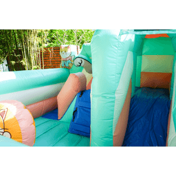 https://file.penguinpartypeople.com/uploads/Cats bouncy (7).png