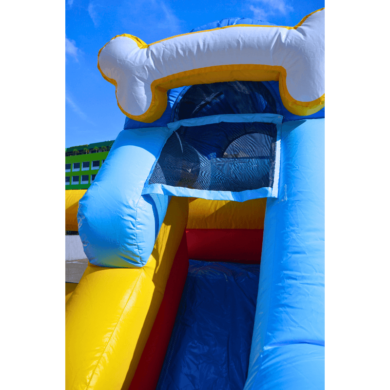 https://file.penguinpartypeople.com/uploads/Paw patrol chase skye (8).png
