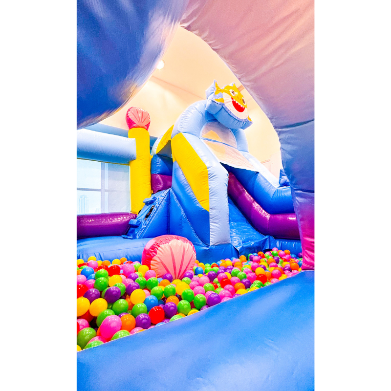 Baby Shark Adventure Bouncy Castle