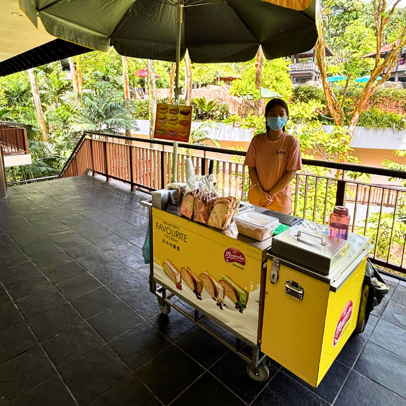 Ice Cream Cart Live Station